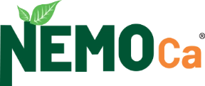 Nemo Ca Logo